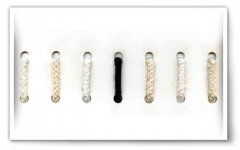 Cotton-Cords